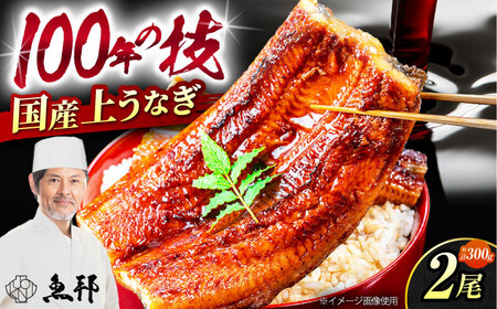 国産上うなぎ蒲焼 2尾 約150g×2パック / 鰻 ウナギ うなぎ 蒲焼き / 御嵩町 / 鰻 季節料理 魚邦 [AVBH005]