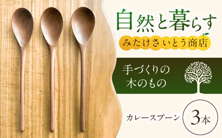 [年内発送]手づくりのカレースプーンの3本セット 〜みたけさいとう商店〜 [AVAZ006]