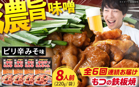 y6ցzuc݂Ƃ񂿂vsh݂i8lOj[AVAA028]z ܂