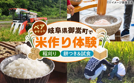  ̌ H yA`Pbg/   ݂ ̌/䐓/ЃAIL[AVBN004]