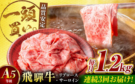 [3回定期便]飛騨牛サーロイン・リブロース 1.2kg(400g×3パック) すき焼きしゃぶしゃぶ用肉 [AVBO027] カルビ 牛肉
