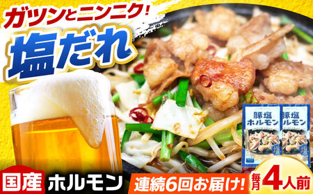 [6回定期便]岐阜県産豚もつの鉄板焼き「元祖みたけとんちゃん」豚塩味(4人前)[AVAA059]豚ホルモン 定期