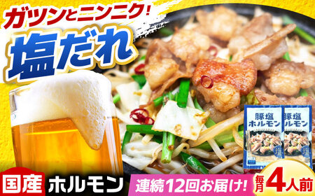 [12回定期便]岐阜県産豚もつの鉄板焼き「元祖みたけとんちゃん」豚塩味(4人前)[AVAA060]豚 定期