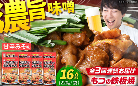 [3回定期便]「元祖みたけとんちゃん」甘辛みそ味 8袋(16人前)[AVAA073]ホルモンモツ