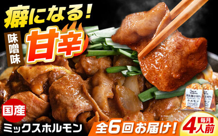 [6回定期便]昔ながらのミックスホルモン 2袋(4人前) / モツ もつ レバー ホルモン / 御嵩町 / 藤よし[AVAA083]