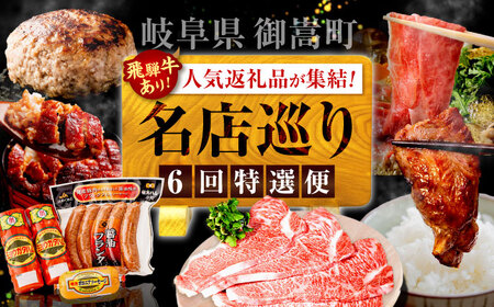 [6回定期便]御嵩町の名店横断!贅沢バラエティ便 / 飛騨牛 鰻 ハラミ 明方ハム ハンバーグ / 岐阜県 御嵩町[AVBM018]