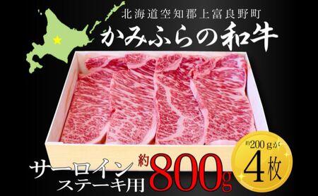 ݂ӂ̘aT[CXe[Lp v800g(200g×4j   Y a Xe[L