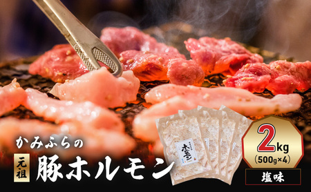݂ӂ́ucv؃z i2kgj ē o[xL[ BBQ ق  xǖ쒬 kC