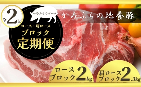 北海道 定期便 2ヵ月 連続 全2回 焼き豚や煮豚にも!部位で違いを楽しむ豚ブロック定期便 かみふらのポーク 北海道 上富良野 国産 豚 切落し ロース ブロック 煮豚 焼き豚 地養豚 ( 肉 焼肉 バーベキュー 希少部位 大容量 BBQ キャンプ 焼くだけ 焼肉 ぶた肉 お肉 おかず ご飯がすすむ 丼 焼き肉 限定 甘い 柔らかい)
