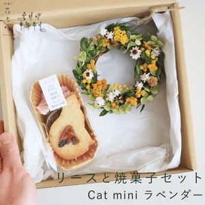 xǖ Ԏj [XƏĉَqZbg Cat mini x_[ CG[  hCt[