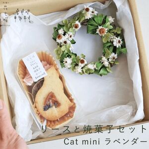 xǖ Ԏj [XƏĉَqZbg Cat mini x_[ zCg  hCt[