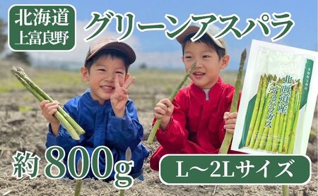 9月限定![2026年分先行予約] アスパラガス 専門農家 の 特選 グリーン アスパラ 800g L〜2L 原農園 アスパラ あすぱら 野菜 北海道 上富良野町