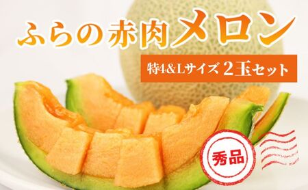 [ 2026年発送 先行予約 ] ふらの 赤肉メロン 特4 2kg〜2.6kg Lサイズ 1.6kg〜1.9kg 各1玉(計2玉) 厳選 秀品 特4サイズ セット めろん フルーツ デザート くだもの 旬の果物 旬フルーツ ファーム富良野 北海道
