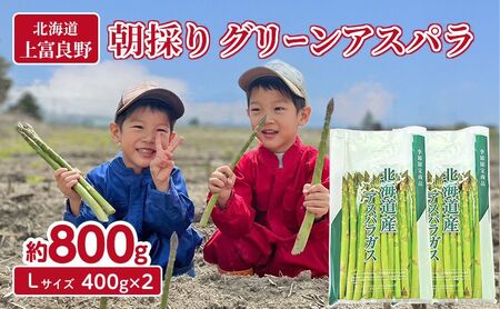 ʌIy2026Ns\z AXpKX _  I O[ AXp 800g  L TCY _ AXp ς  kC xǖ쒬