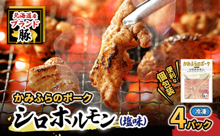 �y2026�N1�����{����o�ׁz�R���R���H�������܂�Ȃ��I�k�C���u�����h�؁u���݂ӂ�̃|�[�N�v�V���z������ �i�����j4�Z�b�g �������E� ( �z������ �ē� �� �� �ؓ� �咰 �V�� �u����