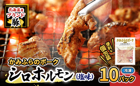 �y2026�N1�����{����o�ׁz�R���R���H�������܂�Ȃ��I�k�C���u�����h�؁u���݂ӂ�̃|�[�N�v�V���z������ �i�����j10�Z�b�g �������E� ( �z������ �ē� �� �� �ؓ� �咰 �V�� �u��