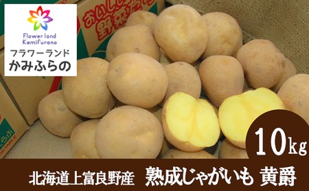 �y�ߘa8�N�Y�z�k�C����x�ǖ쒬�Y ���o���n�����Ⴊ���� ����10kg ��� �W���K�C�� ��10kg