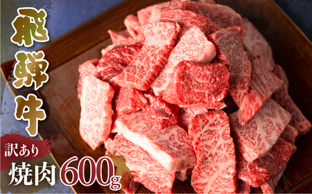 訳あり 飛騨牛 焼肉 切落し 600g 切り落とし 部位お任せ 肉 牛肉 お肉 和牛 冷凍 岐阜県 等級 お任せ BBQ 国産 不揃い ブランド牛 17000円 [S540]