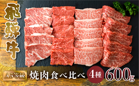 A5等級 飛騨牛 焼肉 4種 食べ比べセット 計600g 赤身 霜降赤身 カルビ 霜降り肉 部位 肉 牛肉 お肉 和牛 冷凍 岐阜県 国産 ブランド牛 鍋 グルメ お取り寄せ 化粧箱入り 27000円 [S549]