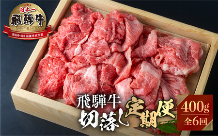 [定期便]飛騨牛 切り落とし 肉 400g ×6回定期便 計2.4kg お届け 肉づくし 白川郷 しゃぶしゃぶ すき焼き 肉じゃが 60000円 6万円 国産 牛 A4 赤身 霜降りおまかせ 部位バラバラ 不揃い 訳あり 訳アリ 岐阜県 白川村 JAひだ 焼肉 やきにく [S630]