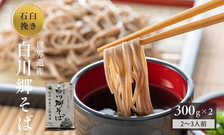 世界遺産白川郷そば 2〜3人前 300g 2袋 蕎麦 半生そば 年越しそば 年末 常温保存 岐阜県 白川村 7000円 [S636]