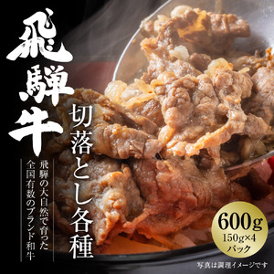 飛騨牛 切落とし 600g(約150g×4パック) 冷凍真空パック | 肉 お肉 すき焼き すきやき しゃぶしゃぶ 黒毛和牛 和牛 個包装 小分け 人気 おすすめ 牛肉 ギフト お取り寄せ 7日以内お届け[MZ001]