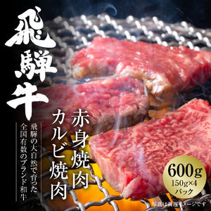 飛騨牛 焼肉 厳選2種盛(赤身・カルビ) 600g(150g×各2パック) 冷凍真空パック | 肉 お肉 焼肉 焼き肉 やきにく 黒毛和牛 和牛 個包装 小分け 人気 おすすめ 牛肉 ギフト お取り寄せ 7日以内お届け[MZ008]