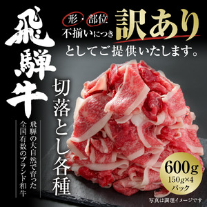 訳あり 飛騨牛 切落とし 600g(150g×4パック) 冷凍真空パック 