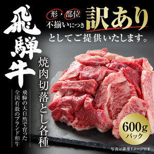 訳あり 飛騨牛 焼肉 切り落とし 600g 冷凍真空パック | 肉 お肉 切落し 不揃い 焼肉 焼き肉 やきにく 黒毛和牛 和牛 人気 おすすめ 牛肉 ギフト お取り寄せ [MZ013]