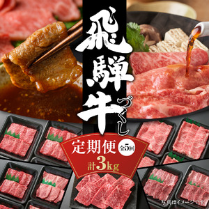 [定期便]飛騨牛 全5回(焼肉・すき焼き・ステーキ)計3kg | 焼肉 ステーキ カルビ 食べ比べ 牛 定期 飛騨高山ミート