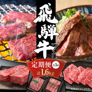 [定期便]飛騨牛(全3回)(ステーキ /焼肉 / ブロック[塊] ) 計1.6kg 全3回 | 焼肉 ステーキ カルビ 牛 定期 飛騨高山ミート