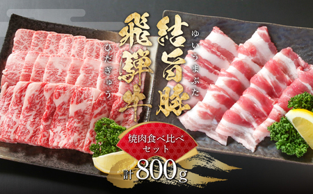 飛騨牛 結旨豚 焼肉 食べ比べ セット 計800g 飛騨牛 カルビ焼肉 300g 結旨豚 バラ焼肉 500g 冷凍真空パック | 肉 お肉 黒毛和牛 和牛 人気 おすすめ 牛肉 豚肉 ギフト お取り寄せ 15000円[MS019]