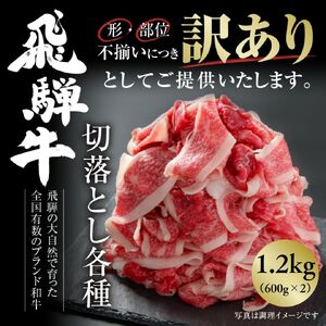 訳あり 飛騨牛 切落とし 600g×2 冷凍真空パック | 肉 お肉 切り落とし 薄切り すき焼き すきやき 黒毛和牛 和牛 人気 小分け 個包装 おすすめ 牛肉 ギフト 飛騨高山ミート [MS025]