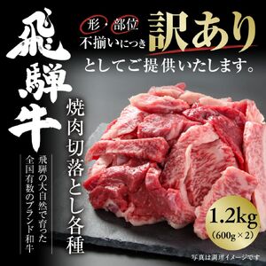 訳あり 飛騨牛 焼肉 切り落とし 600g×2 冷凍真空パック | 肉 お肉 切落し 不揃い 焼肉 焼き肉 やきにく 黒毛和牛 和牛 人気 おすすめ 牛肉 ギフト 個包装 小分け お取り寄せ 飛騨高山ミート [MS026]