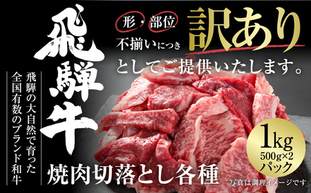 訳あり 飛騨牛 焼肉 切り落とし 1kg 冷凍真空パック 飛騨高山ミート | 肉 お肉 切落し 不揃い 焼肉 焼き肉 やきにく 黒毛和牛 和牛 人気 おすすめ 牛肉 ギフト お取り寄せ 飛騨高山ミート [MZ036]