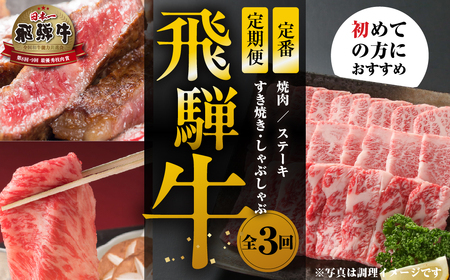 [定期便]全3回 飛騨牛 定番( 焼肉 / すき焼き / ステーキ)[ 飛騨高山ミート ] | 冷凍真空パック 肉 お肉 すきやき 黒毛和牛 和牛 人気 おすすめ 牛肉 [MZ102]