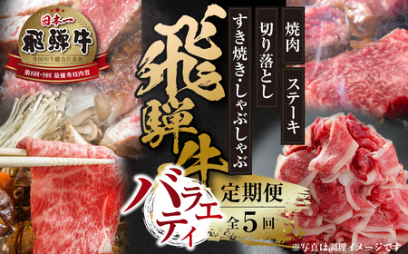 [定期便]全5回 飛騨牛 バラエティ(ステーキ /焼肉 / すき焼き/切り落とし)[ 飛騨高山ミート ] | 冷凍真空パック 肉 お肉 すきやき 黒毛和牛 和牛 人気 おすすめ 牛肉 [MZ104]
