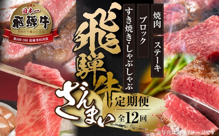 [定期便]全12回 飛騨牛 ざんまい(ステーキ /焼肉 / すき焼き/切り落とし/ブロック)[飛騨高山ミート] | 冷凍真空パック 肉 お肉 すきやき 黒毛和牛 和牛 人気 おすすめ 牛肉[MZ106]