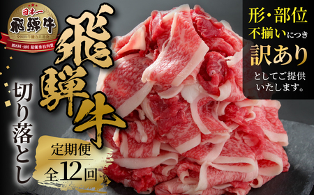 [定期便] 12回 訳あり 飛騨牛 切り落とし 500g 肉 飛騨牛 定期 切落し 飛騨高山ミート 120,000円 | 冷凍真空パック 肉 お肉 黒毛和牛 和牛 人気 おすすめ 牛肉 [MZ112]