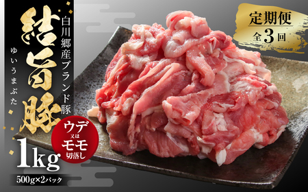 [定期便]全3回 結旨豚 ウデ又はモモ 切り落とし 500g×2パック 冷凍真空パック | 肉 お肉 豚肉 国産 食べ比べ セット 白川郷 岐阜県 白川村 ブランド豚 人気 おすすめ ギフト 飛騨高山ミート 30000円 [MS104]