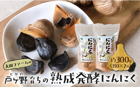 黒にんにく 熟成発酵にんにく 150g×2袋 甘さが自慢! 白川郷産 黒ニンニク 岐阜県 飛騨 大田ファーム 白川村 戸ヶ野 にんにく 10000円 1万円 [S013] 年内配送 年内お届け