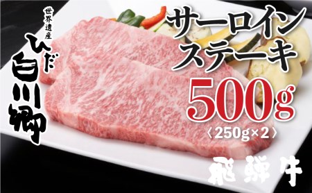 飛騨牛 サーロインステーキ 250g×2 計500g JAひだ ステーキ お中元 お歳暮 敬老の日ギフト [S107]