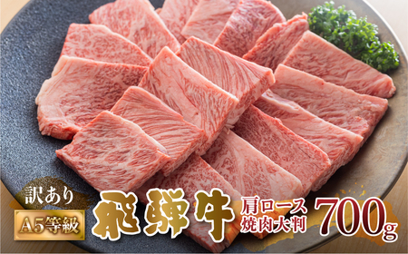 [2週間〜発送]飛騨牛 A5等級 焼肉用 霜降り 700g 大判 訳あり 焼き肉 BBQ 肉 牛肉 お肉 和牛 冷凍 霜降り A5等級 25000円 [S427]