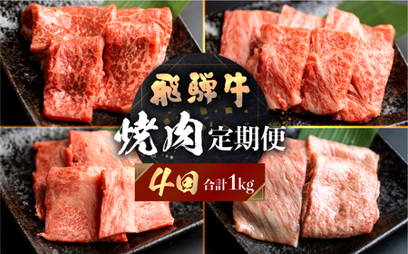 飛騨牛 定期便 4回 焼肉 食べ比べ 250g×4回 焼き肉 牛肉 もも ロース バラ 肩ロース 毎月お届け バーベキュー BBQ JAひだ 40000円 [S401]