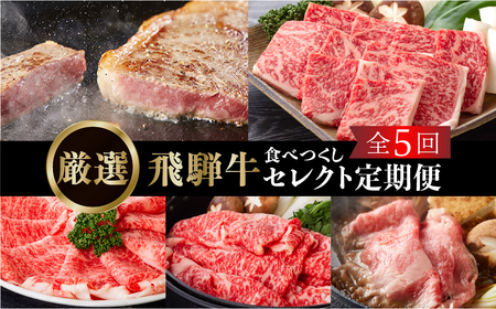 [定期便5回]飛騨牛食べつくし厳選セレクト 5か月 焼肉 サーロイン肩ロース ロース モモ すき焼き しゃぶしゃぶ 食べ比べ 牛肉 国産 焼き肉 赤身 A4 A5 等級 だるまミート 岐阜県 白川村 贅沢 冷凍 135000円 [S407]