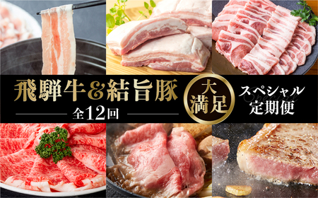 [定期便12回]飛騨牛&結旨豚 食べきりタイプ スペシャル定期便 12か月 1年間 焼肉 サーロイン ロース モモ すき焼き しゃぶしゃぶ 牛肉 豚肉 国産 焼き肉 赤身 A4 A5 豚肉 バラ ブランド豚 だるまミート 岐阜県 白川村 贅沢 冷凍 210000円 [S409]