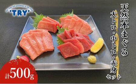 [天然]本まぐろ 大トロ・中トロ・赤身セット 500g 鮪 本鮪 本マグロ マグロ 刺身 刺し身 海鮮 サク 海の幸◆