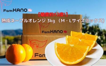 x12xInl[uIW 3kg (MTCYȏ~bNX)t[c k IW