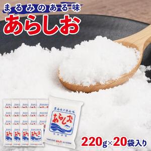 あらしお 220g×20袋入り◇
