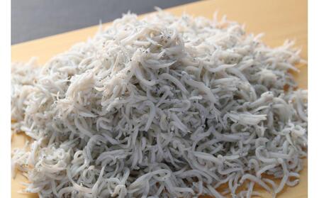 Rzgg炷@500gi50g×10pbNj